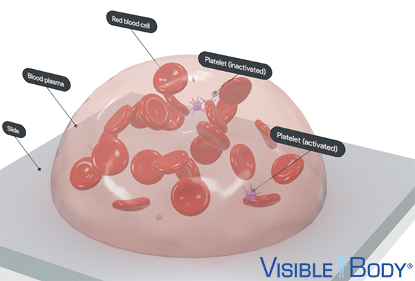 3d-blood-cell-rbc-platelets-logo